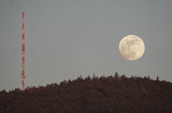 Der Mond und das Weinbiet am 02.03.2026 (Foto: Holger Knecht)