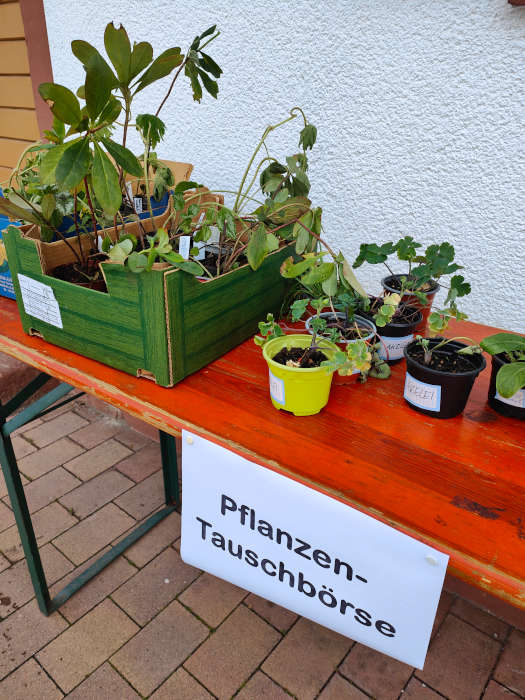 Pflanzentauschbörse (Foto: Stadtverwaltung Schifferstadt)
