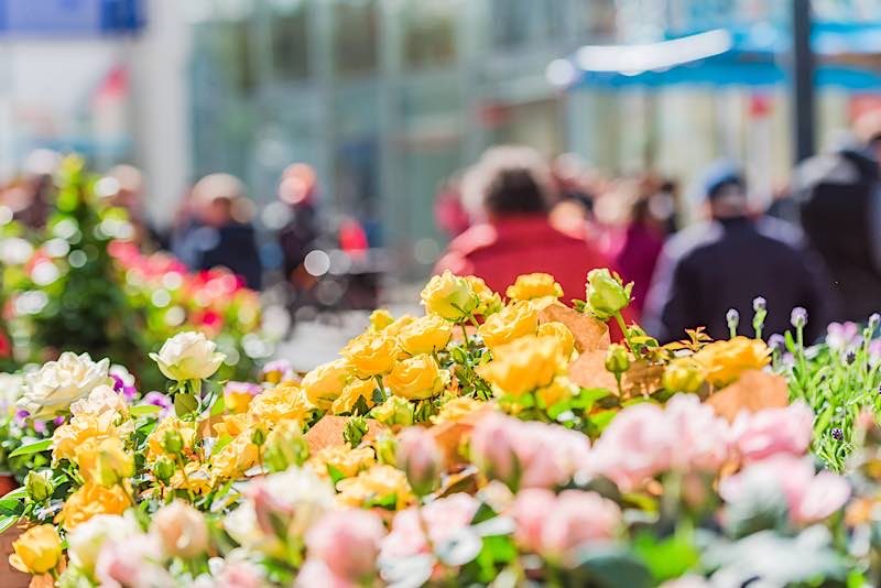 Lautern blüht auf (Foto: Werbegemeinschaft „Kaiser in Lautern“)