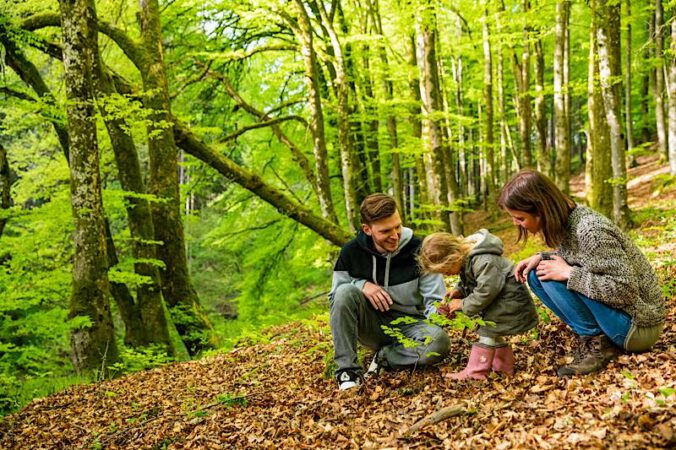 Quelle: Landesforsten.RLP.de/Jonathan Fieber