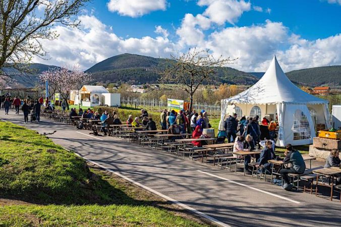 Mandelmeile Edenkoben (Foto: Pfalz Touristik, Heimatlichter GmbH/florianorth.de)