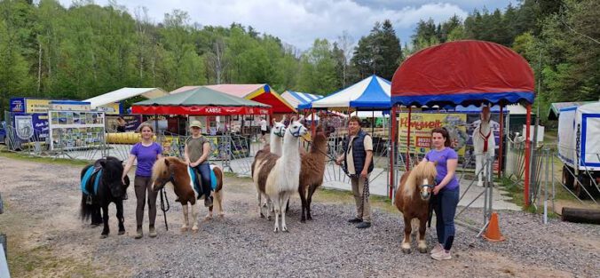 Foto: Ponywelt Niedersimten