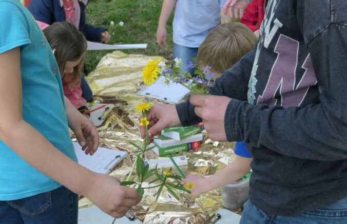 Die Natur wacht auf – der Frühling ist da. (Foto: Pfalzmuseum für Naturkunde)