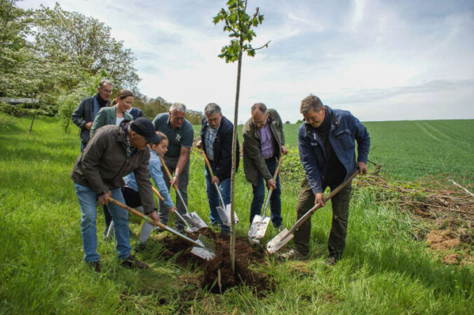 Pflanzung einer Elsbeere (Foto: KV SÜW)