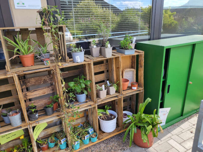 Pflanzenregal (Foto: Pfalzakademie)