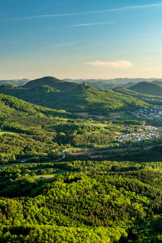 Aussicht am Orensfels über den Pfälzerwald (Foto: CC-BY-SA Pfalz Touristik, Dominik Ketz)