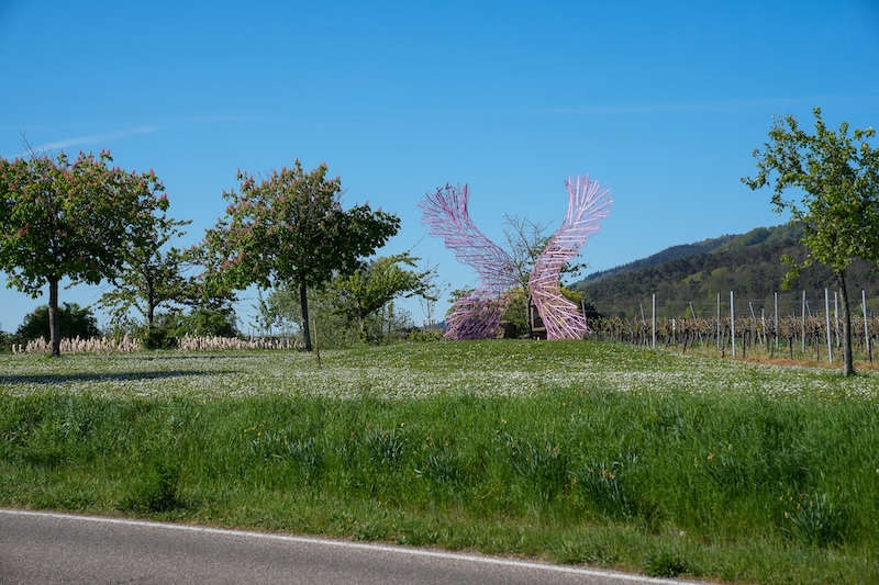 Engelflügel bei St. Martin