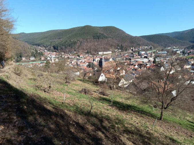 Streuobstwiese Beutelstein mit Blick auf Lambrecht (Foto: Wolfgang Mildner)