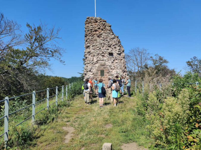 Die Biosphären-Guides laden dazu ein, die Natur aus einer neuen Perspektive zu erleben. (Foto: Biosphärenreservat Pfälzerwald-Nordvogesen)