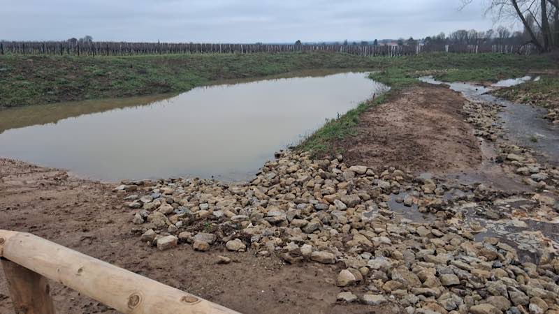 Der renaturierte Kaltenbach (Foto: Verbandsgemeindeverwaltung Edenkoben)