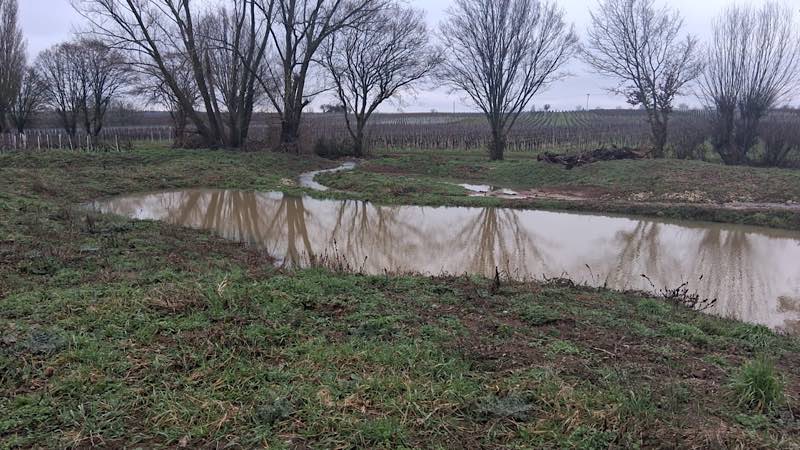 Der renaturierte Kaltenbach (Foto: Verbandsgemeindeverwaltung Edenkoben)