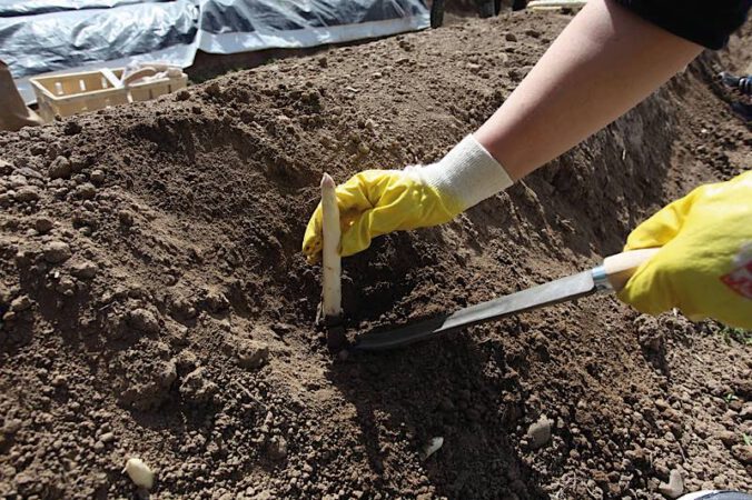 Foto: Südpfalz-Tourismus e.V./Paul van Schie