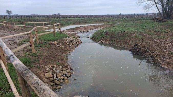 Der renaturierte Kaltenbach (Foto: Verbandsgemeindeverwaltung Edenkoben)