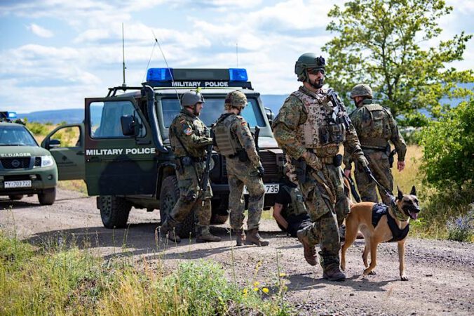 Spürhund der Militärpolizei im Einsatz (Foto: Bundeswehr/Susanne Hähnel)