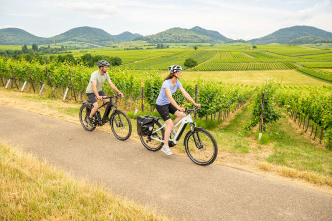 Rad fahren durch Landau-Land (Foto: CC-BY-SA Pfalz Touristik, Dominik Ketz)