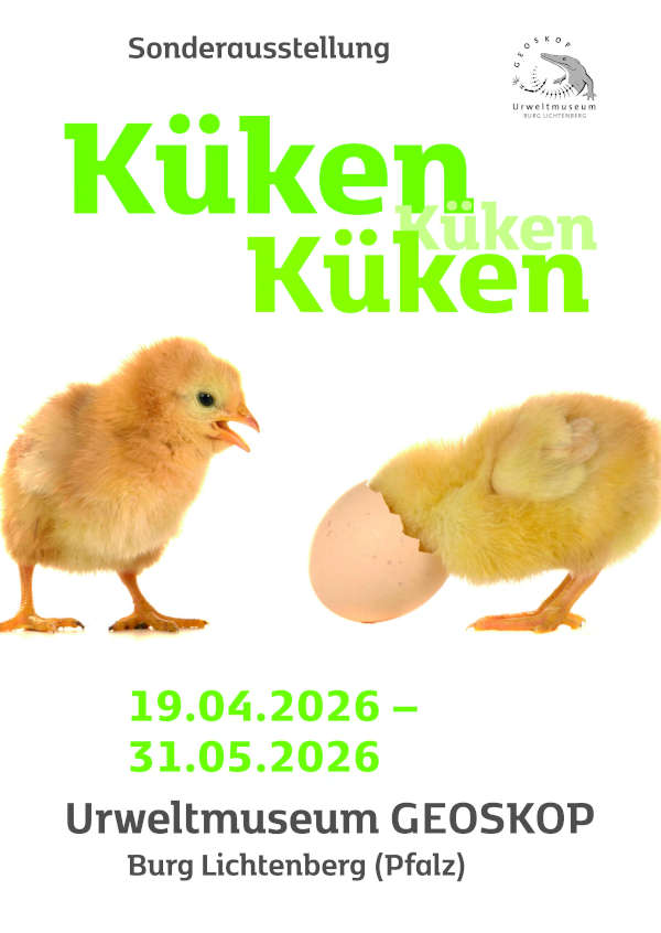 Sonderausstellung "Küken, Küken, Küken" im April und Mai 2026 im Urweltmuseum GEOSKOP