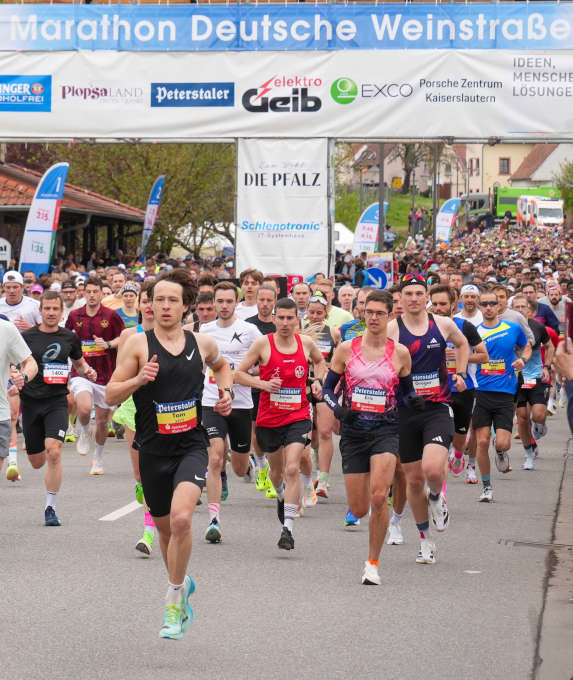 Start des 14. Marathon Deutsche Weinstraße (Foto 2026: Holger Knecht)