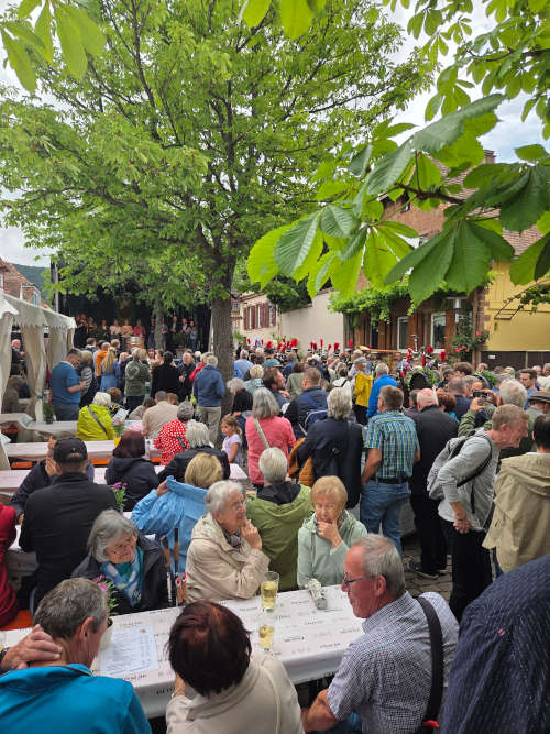 An Pfingsten ist Feiern entlang der historischen Theresienstraße in Rhodt unter Rietburg ein Erlebnis. (Archivfoto: Christoph Krieger)