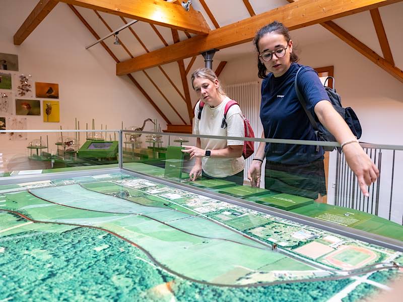 Bewässerungsmodell der Queichwiesen im Storchenzentrum Bornheim (Foto: CC-BY Pfalz Touristik, Fachenbach Medien)