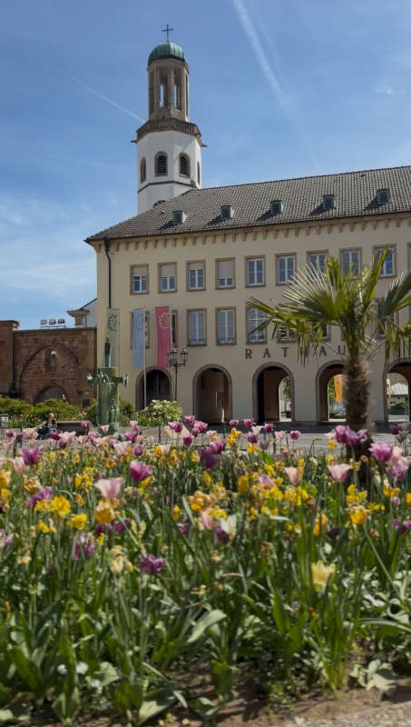 Blumen am Rathausplatz (Foto: Pressestelle FT)