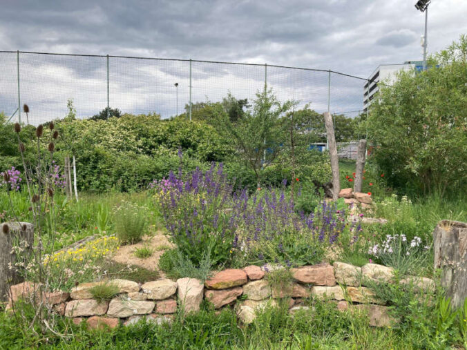 Hummelgarten Speyer im Mai 2026 (Foto: Stadt Speyer)