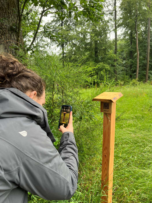 QR-Codes lassen sich auch auf Holz abscannen (Foto: Landesforsten.RLP.de / P.Hochscheidt)