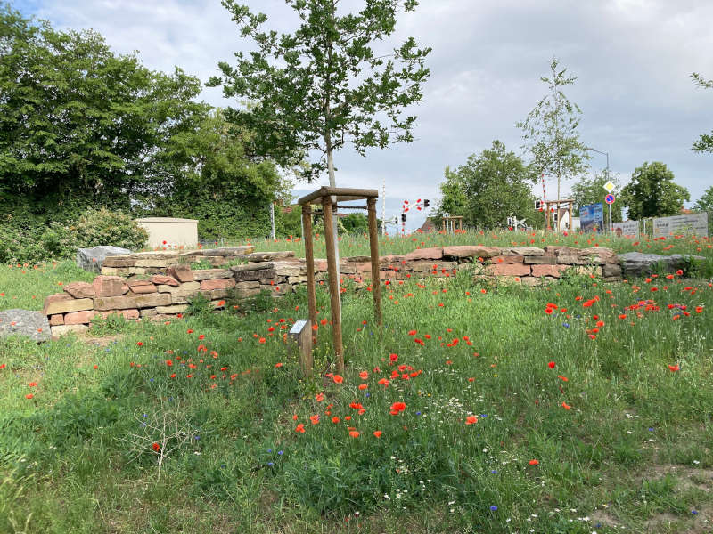 Trockenmauer und Grünfläche, Rauschendes Wasser im Mai 2026 (Foto: Stadt Speyer)