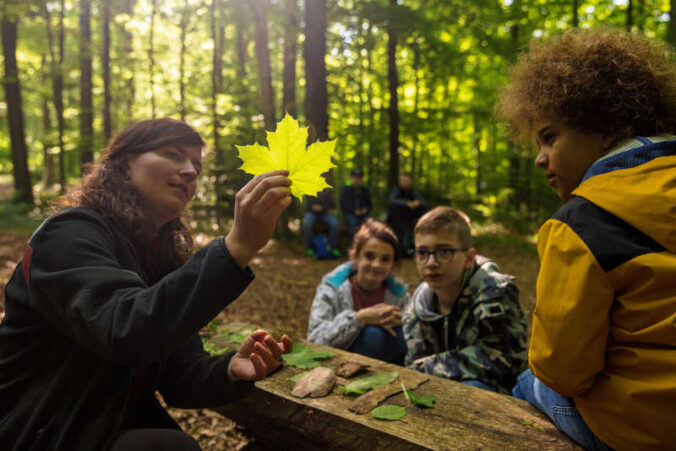 Zauberhafter Wald (Foto: Landesforsten.RLP.de/J. Fieber)