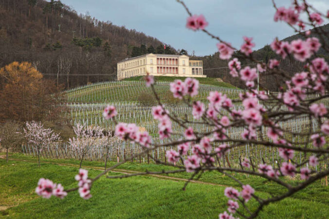 Schloss Villa Ludwigshöhe (Foto: GDKE / Elisa Fischer)