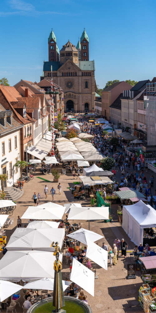 Speyerer Bauernmarkt (Foto: Michael Varelmann)