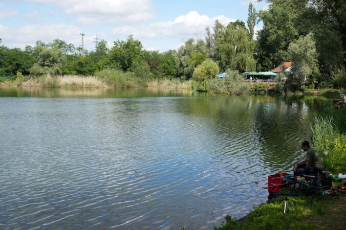 Der Bahnweiher in Schifferstadt (Foto: Holger Knecht)