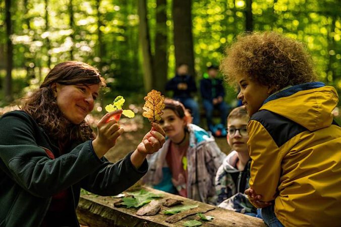Eine Waldpädagogin erklärt Kindern, wie sie Baumarten anhand ihrer Blätter unterscheiden können. (Foto: Landesforsten.RLP.de/J.Fieber)