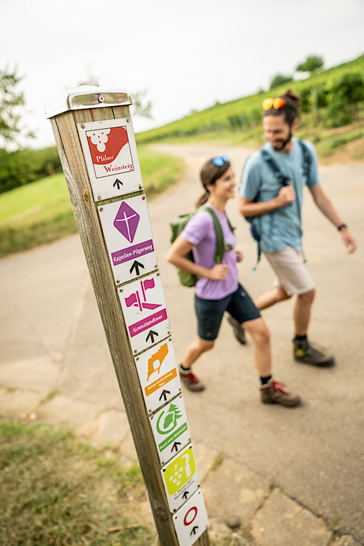 Wanderwegweiser bei Schweigen-Rechtenbach (Foto: CC-BY-SA Pfalz Touristik, Dominik Ketz)