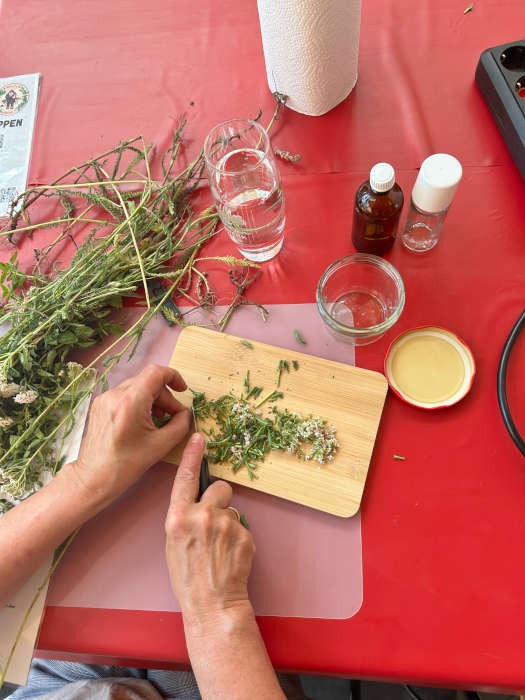 Gemeinsames Schnippeln gehört beim Kräuterworkshop dazu (Foto: Landesforsten.RLP.de / P.Hochscheidt)
