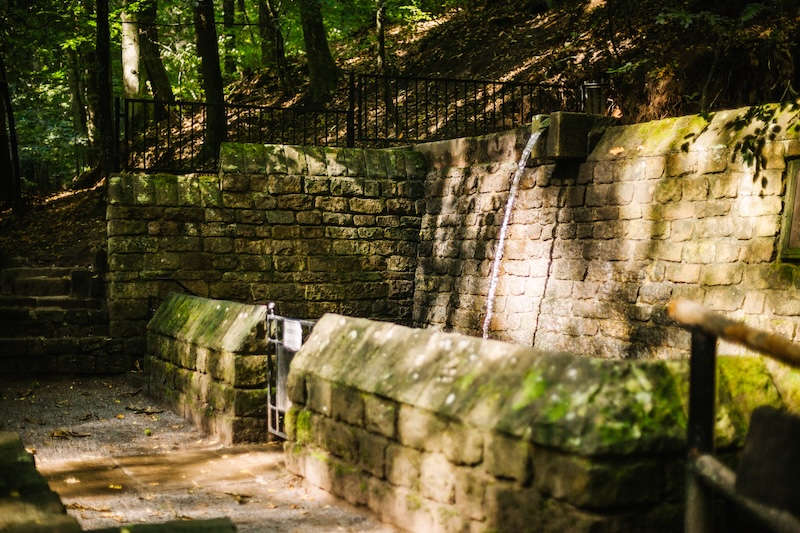 Walddusche bei Gleisweiler (Foto: Südliche Weinstrasse e.V., JackSenn)