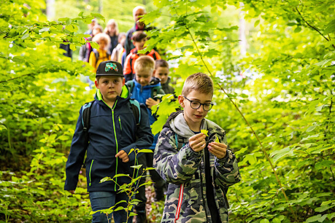 Unterwegs im Wald (Foto: Landesforsten.RLP.de/J. Fieber)
