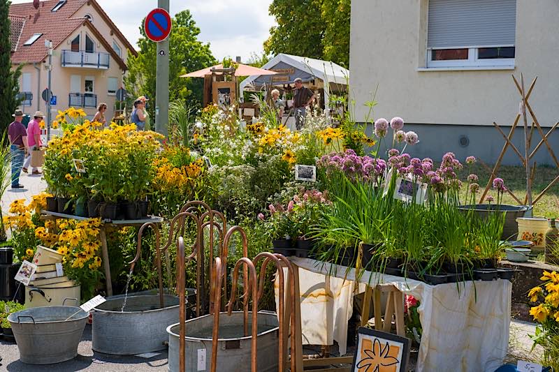 Pfälzer Gartenmarkt (Foto: Bernhard Wingerter)
