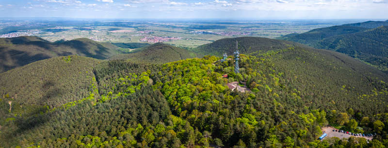Kalmit Luftaufnahme (Foto: CC-BY Pfalz Touristik, Heimatlichter GmbH)