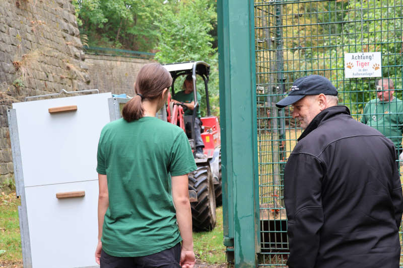 Hier kommt MANU! Der Transport des Tigerkaters nach Landau verlief ohne Probleme. (Quelle: Zoo Landau in der Pfalz)
