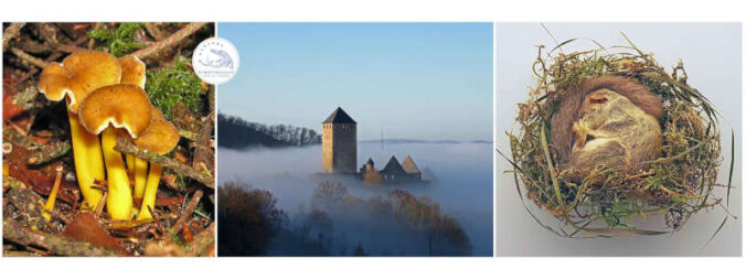 Herbstferienprogramm 2026 auf Burg Lichtenberg