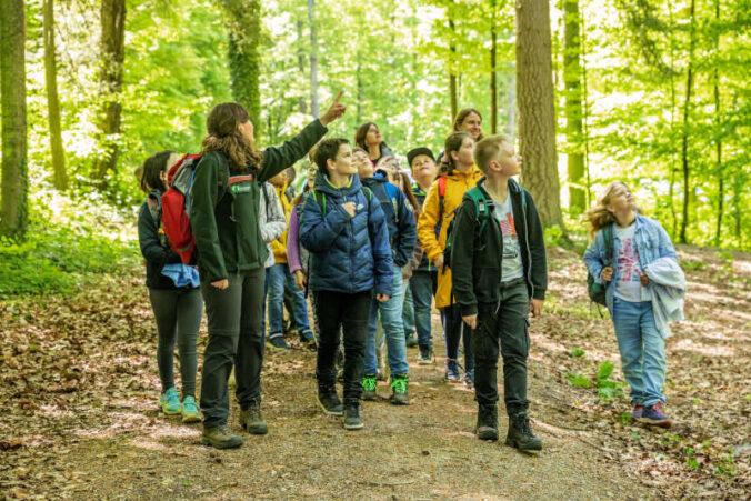 Führung im Wald (Quelle: Landesforsten.RLP.de/Jonathan Fieber)