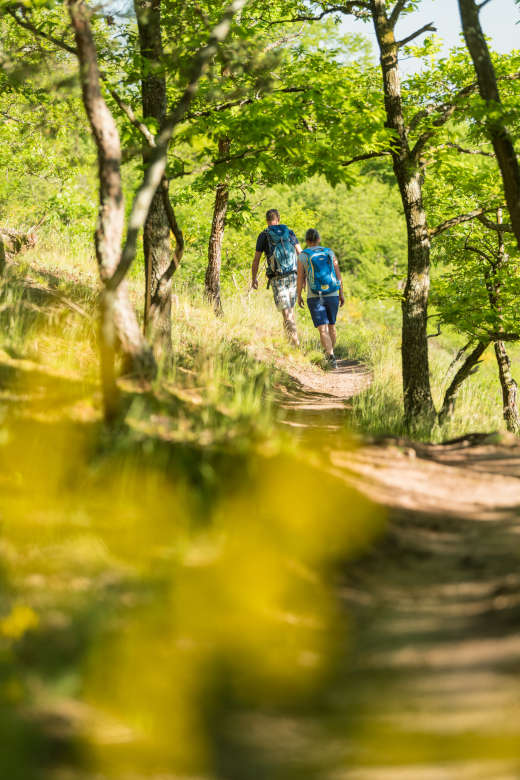 Pfälzer Hüttentour (Foto: Pfalz-Touristik e.V., Dominik Ketz)