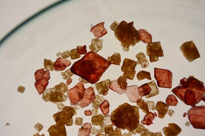 Weinstein – Kristalle aus dem Rebsaft (Foto: Pfalzmuseum für Naturkunde)