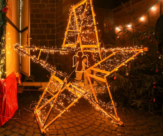Weihnachtsstern (Foto: Holger Knecht)