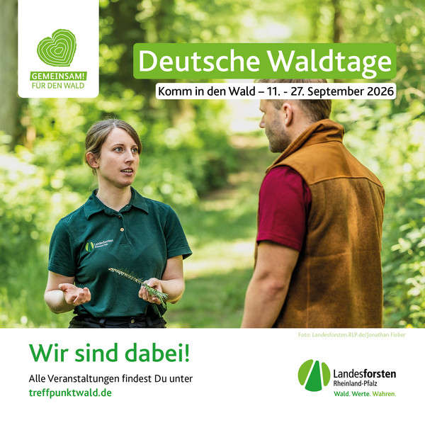 Deutsche Waldtage im September 2026