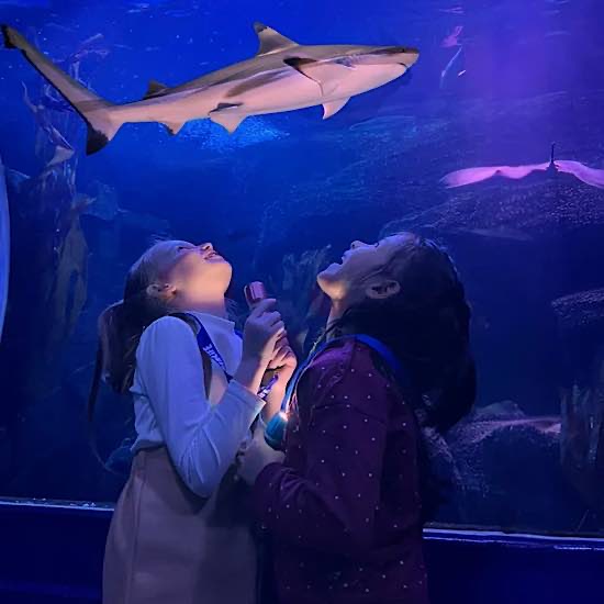 Taschenlampenführung (Foto: SEA LIFE Speyer)