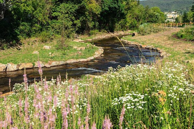 Die Renaturierung ist abgeschlossen: Am Speyerbach plätschert und summt es wieder. (Foto: LGS28)