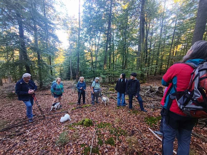 Entdeckungsreise rund um Speyerbrunn (Foto: Thomas Mann)
