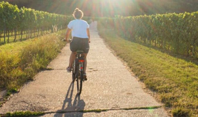 Radfahren (Foto: Foto: Alina Becker, Bildarchiv Südliche Weinstraße e.V.)