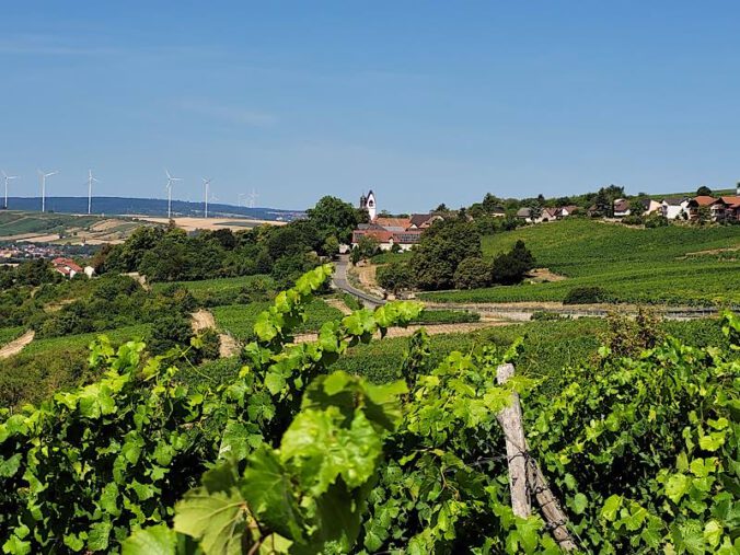 Blick aufs Zellertal und den Donnersberg über die Weinlage Schwarzer Herrgott (Foto: Michael Landgraf)